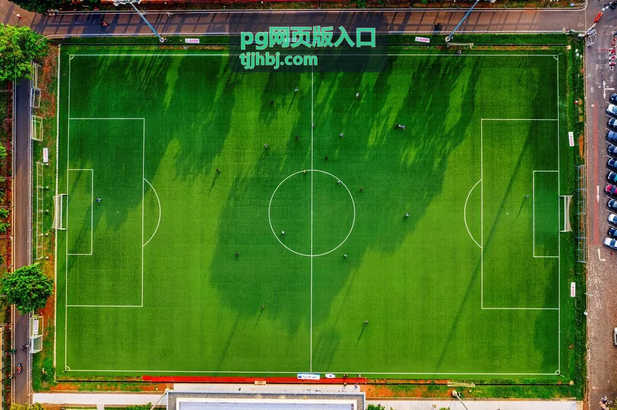 pg网页版入口手机端适配与显示设置配图